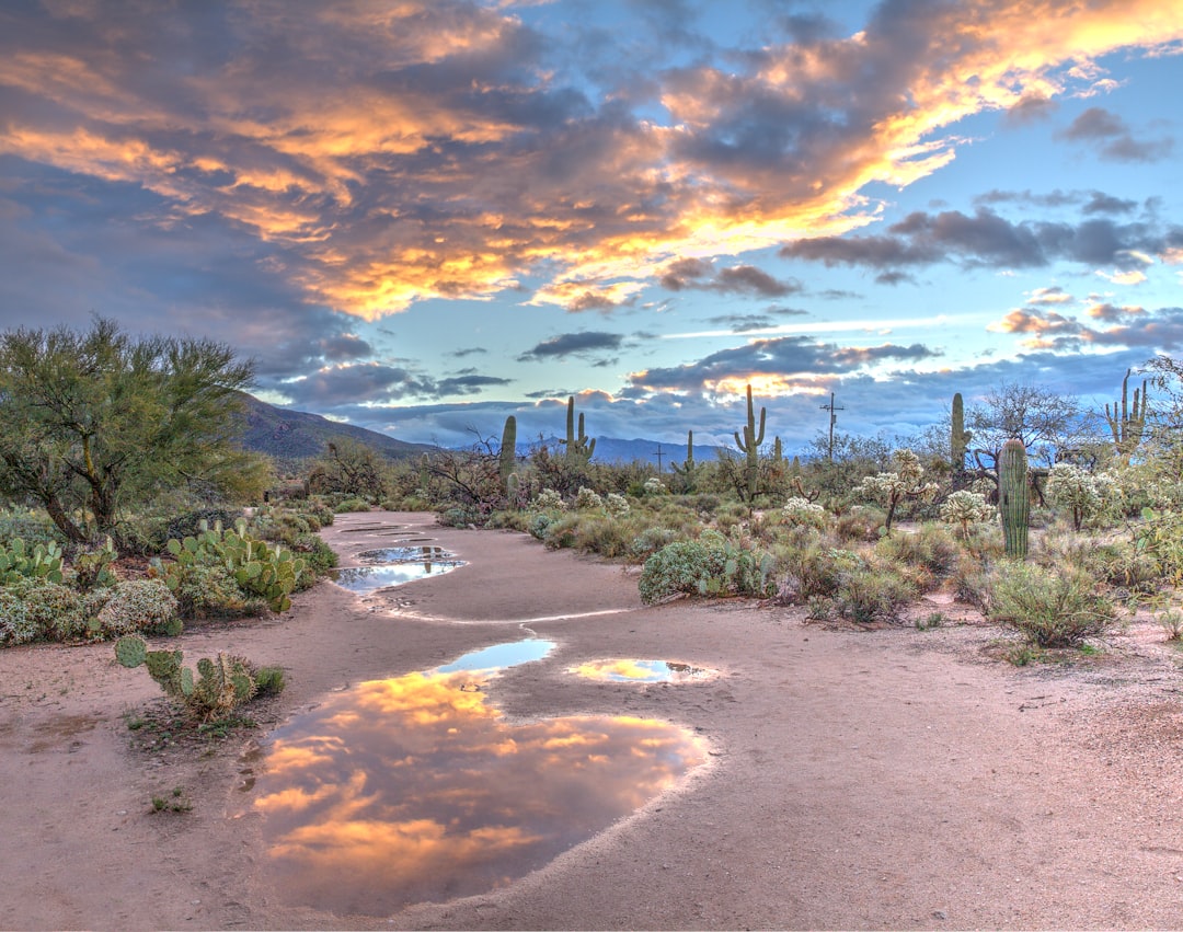 Camelback Mountain Phoenix Arizona