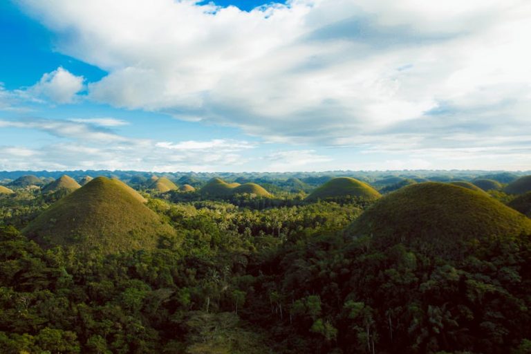 Best Things To Do In Bohol Philippines