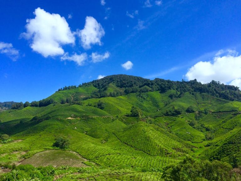 Chocolate Hills Bohol Philippines