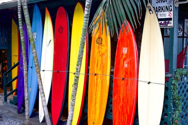 Best Hikes In Oahu Hawaii