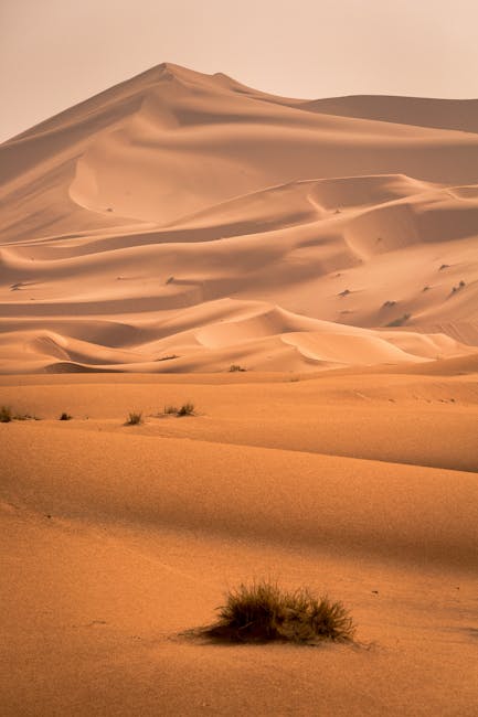 Imperial Sand Dunes California