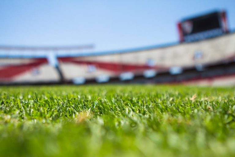 Best Activities Near Sofi Stadium