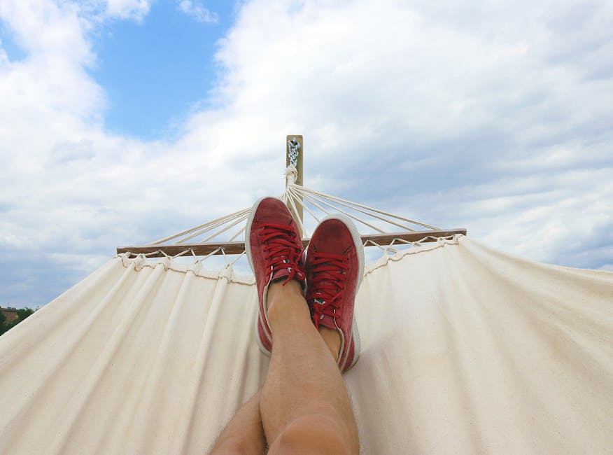 House Sitting for Free Travel
